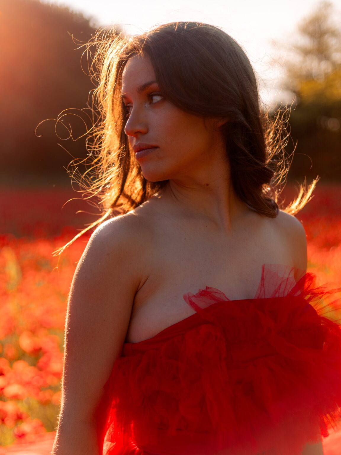 CléliaJallet-240525-CoquelicotsMLT-11