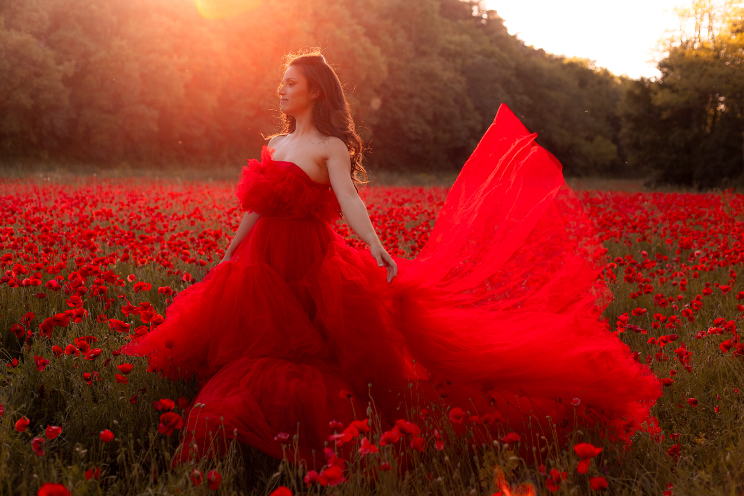 Photographie artistique robe de princesse, confiance en soi coquelicots